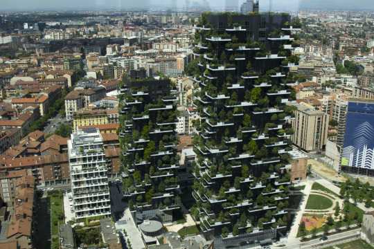 Un bosco verticale – BRANDON DONNELLY