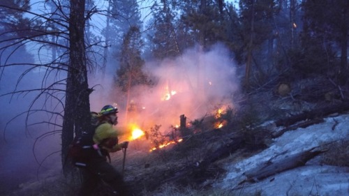 Wildland fire