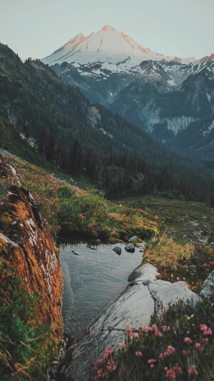 alockscreen:NATURE LOCKSCREENSlike or reblog if you save,...