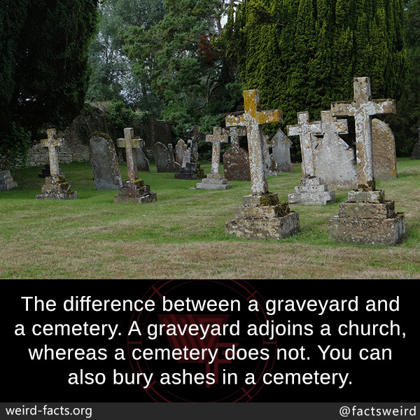difference between graveyard and cemetery