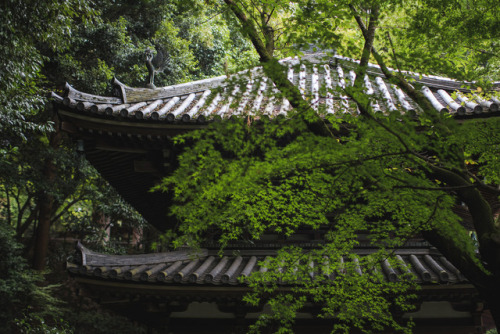 iesuuyr:Kyoto, Japan | YU-JEN SHIH