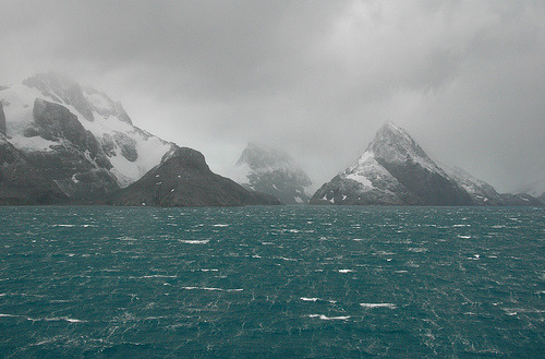 zptp:South Georgia, Drygalski fjordRita Willaert