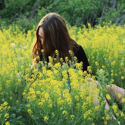 ~Flowers & Photographs~