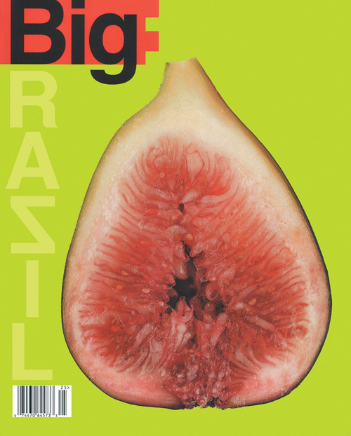 swaaarm:Big Magazine