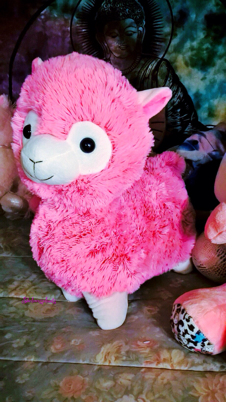 pink stuffie