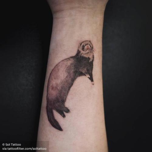 By Sol Tattoo, done at Studio by Sol, Seoul.... small;animal;facebook;twitter;inner forearm;soltattoo;ferret;illustrative