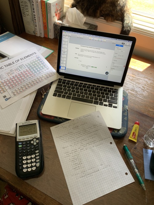 studywithlillian