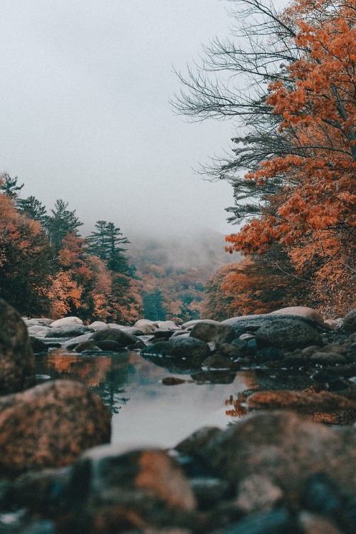 moody-nature:Autumn in New Hampshire // By Aaron Mello