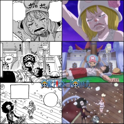 One Piece Chapter 902 Tumblr