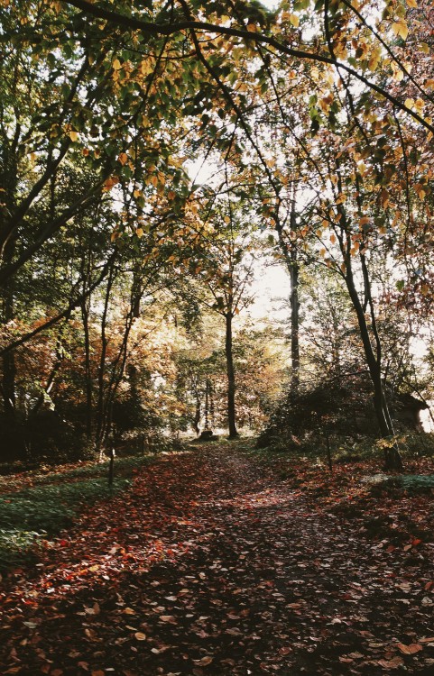 autumnkth