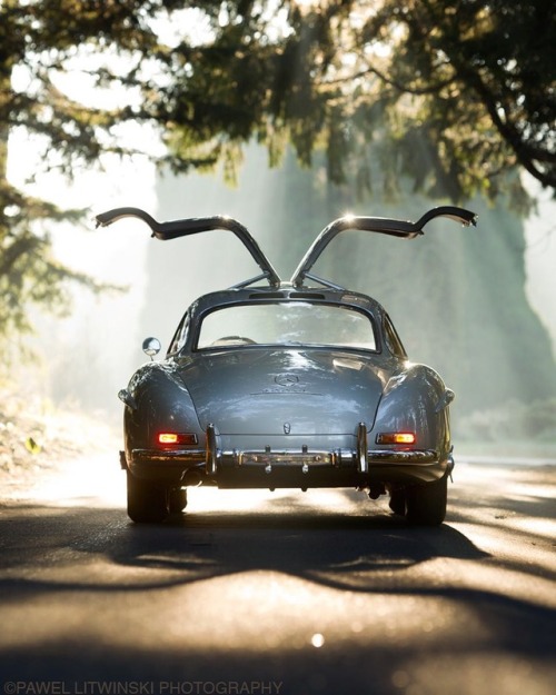 utwo:1955 Mercedes Benz 300SL Gullwing© pawel litwinski