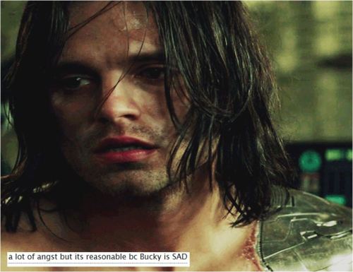 incorrectstevebucky