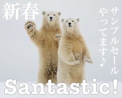 @Santastic!