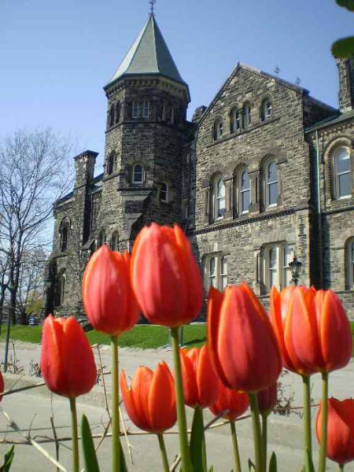witeksphotoscanada