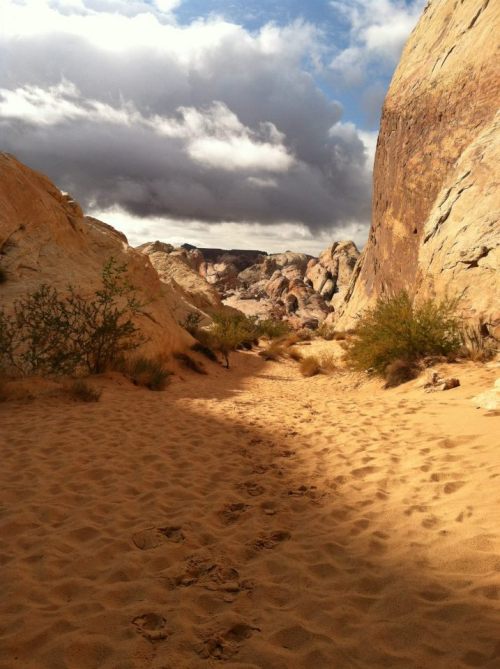 Hike The Planet • VALLEY OF FIRE STATE PARK, NEVADA HIKE 