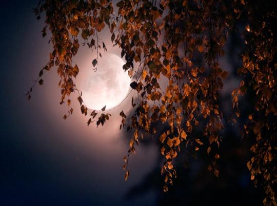 October moon.