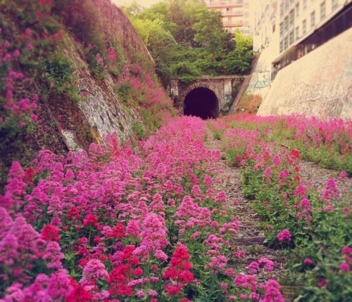 untappedcities: