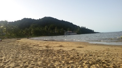 Photo Libre De Droit De Plage Des Hattesplage à Yalimapo