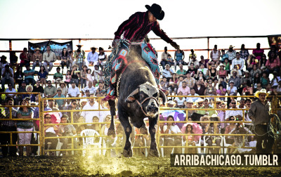 Jaripeos Tumblr