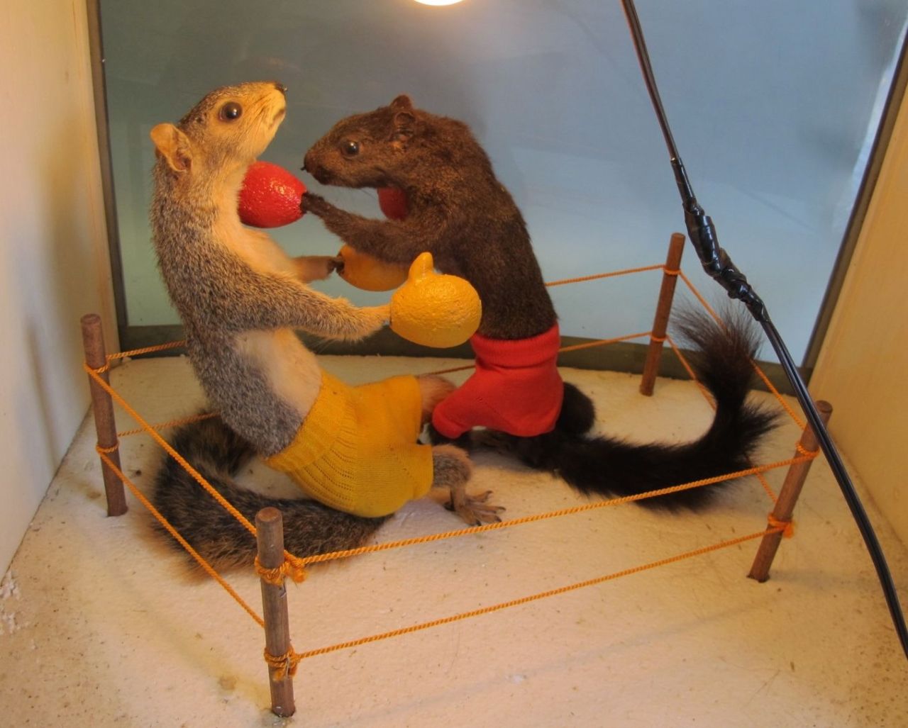 Daisy and I are nerding out over this vintage squirrel diorama that was listed on eBay. So dope.