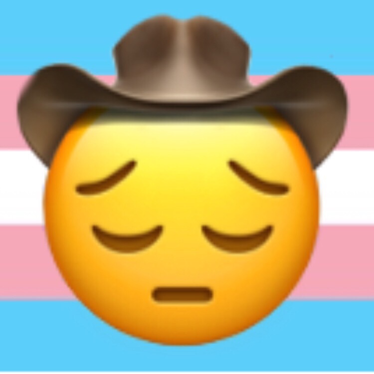 Its Cannon I Swear The Sad Cowboy Emoji From The Internet Is Trans - the sad cowboy emoji from the internet is trans and plays roblox