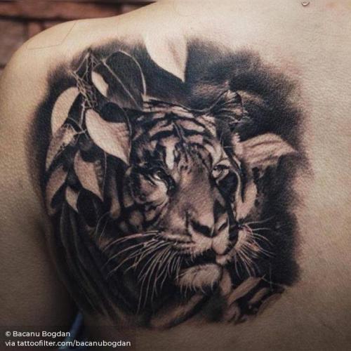 By Bacanu Bogdan, done at NR Tattoo Cheltenham, Cheltenham.... animal;bacanubogdan;big;black and grey;facebook;feline;shoulder blade;tiger;twitter