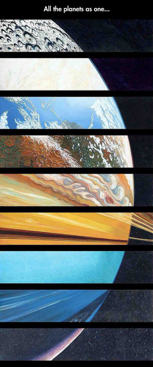 daily-meme:All The Planets In One Photo.