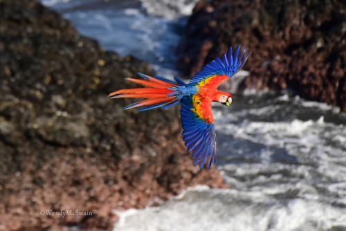 Jaco, Costa Rica  .  On a  Mission trip with ladies from...