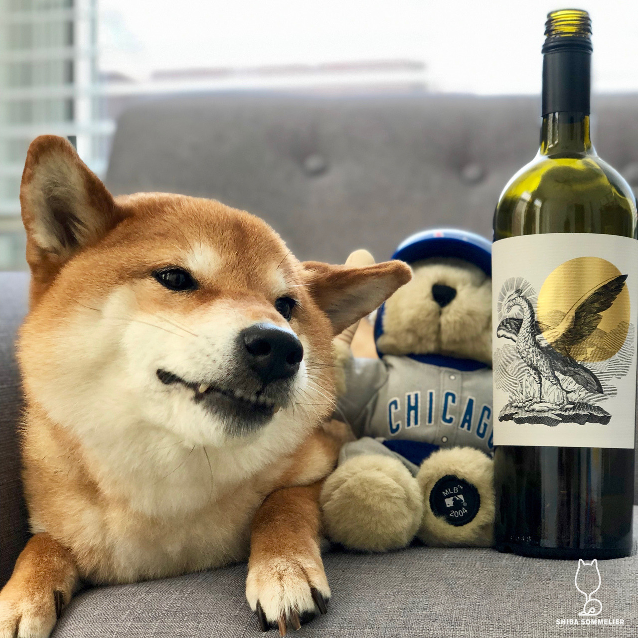 Shiba Sommelier 2017 Penley Estate Phoenix Cabernet