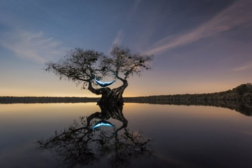 These beautiful photos will make you want to save the...