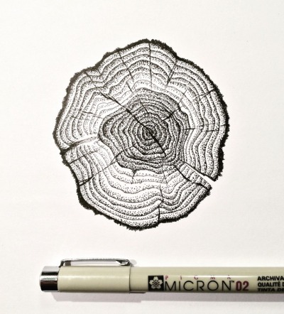 tree ring tattoo