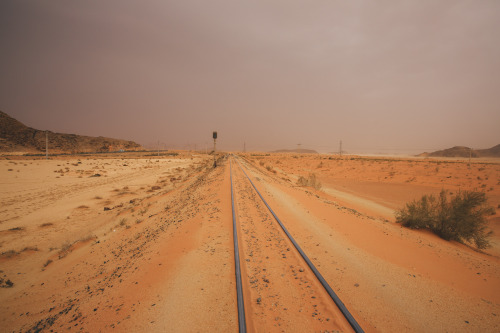 samhorine:chasing trains through the desert (dead sea bound) //...