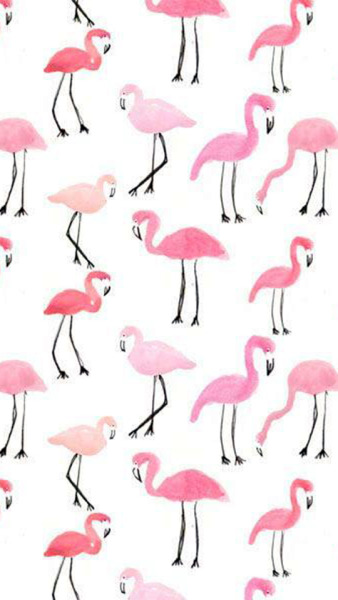 Wallpaper Flamingo Pink Tumblr