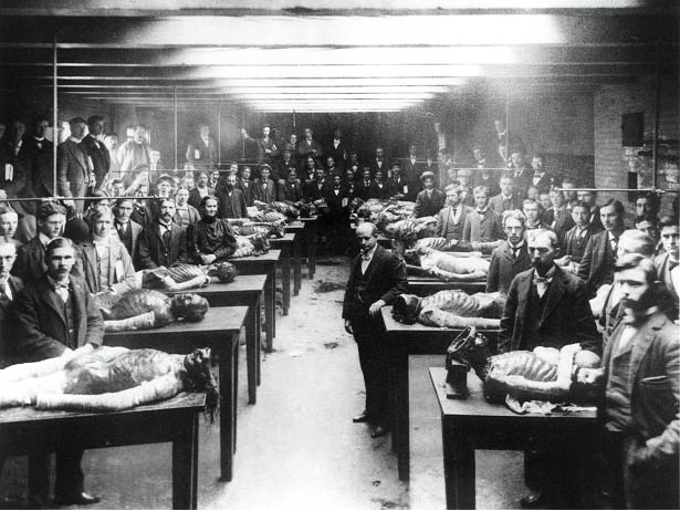 Section #2 of Professor W.T. Eckley’s dissecting class, College of Physicians & Surgeons, 813 W Harrison St., 1898, Chicago
University of Illinois At Chicago Library of the Health Sciences University Archives