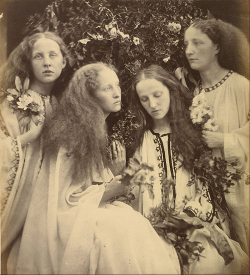 littlepennydreadful:Julia Margaret Cameron, The Rosebud Garden...