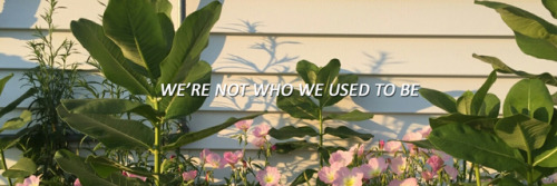 badhxbit:like or reblog if u save ♡