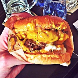 favorite food hamburgers tumblr