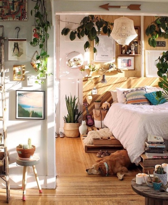  home  decorating ideas  on Tumblr 