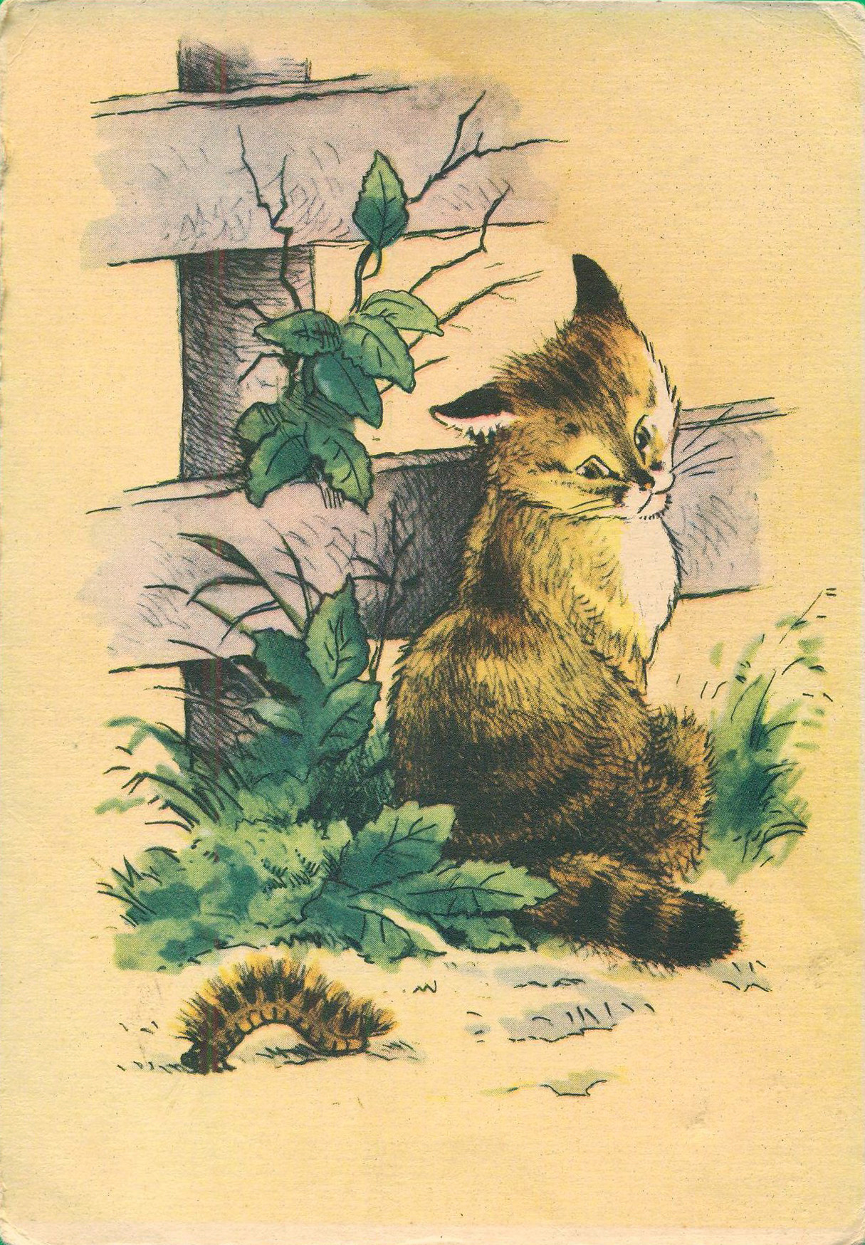 Postcard by G. Karlov (1956)