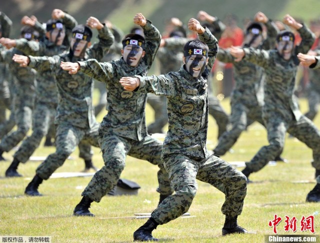 army teamspirit korea