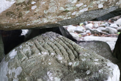 thesilicontribesman:Dyffryn Prehistoric Burial Chambers,...