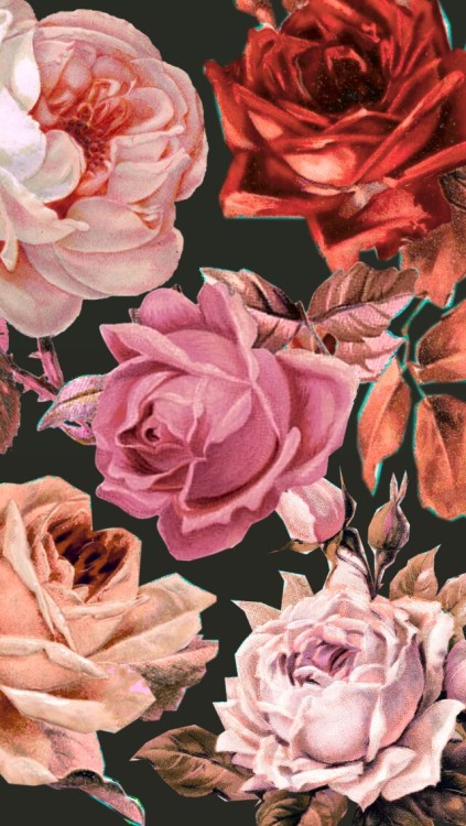 Vintage Roses On Tumblr