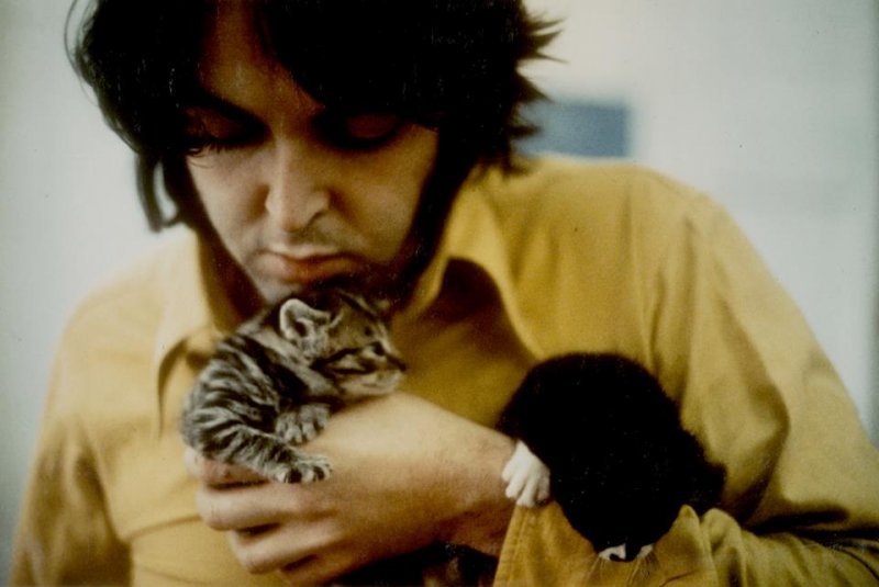 Image result for "Paul McCartney" AND kitten