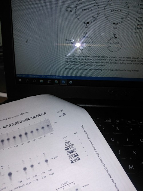 Spending my day revising NAPs (nucleoid-associated proteins)....