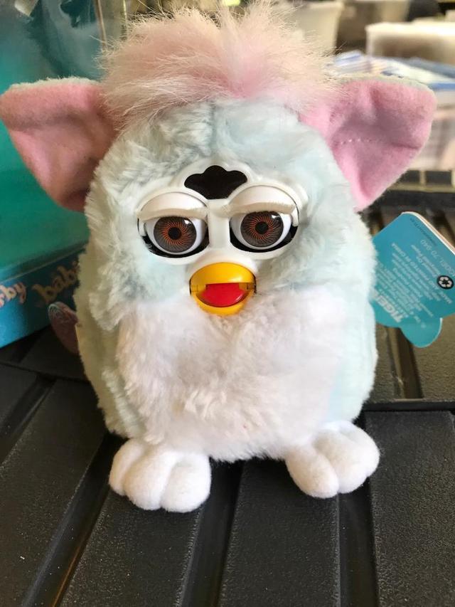 fluffy furby