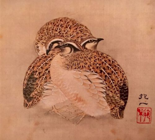 heartbeat-of-leafy-limbs:SAKAI HOITSU Quails [19th century]