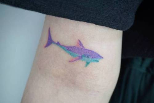 By Xhomda, done in Seoul. http://ttoo.co/p/35215 small;shark;bicep;animal;contemporary;tiny;fish;ifttt;little;nature;ocean;xhomda;illustrative