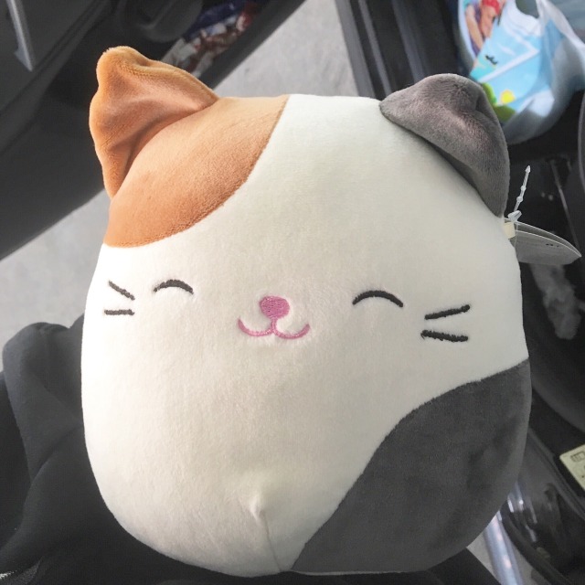 pumpkin spice kitty squishmallow