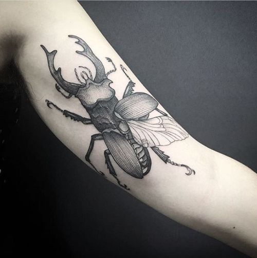 Big ol’ beetle by @susannatattoo, she’s taking bookings for...