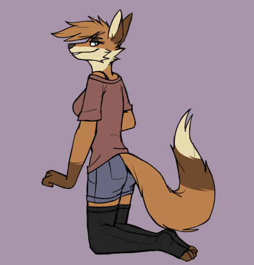 metriccaboose